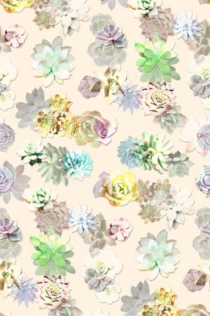 热带植物印花华亿平台图片