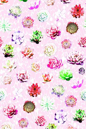 热带植物印花华亿平台图片