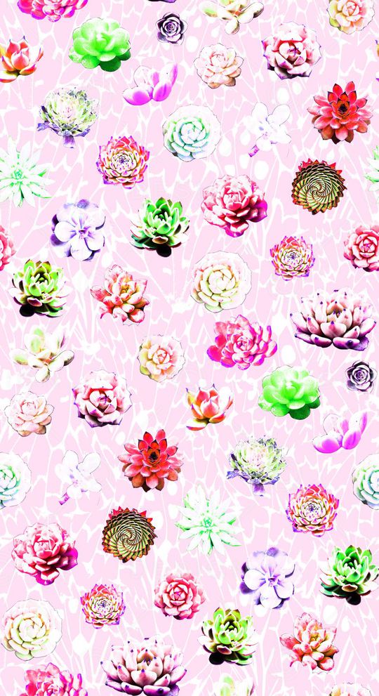 热带植物印花华亿平台图片