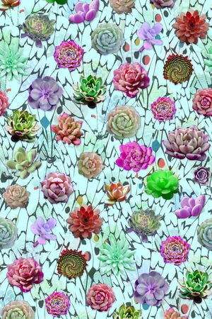 热带植物印花华亿平台图片