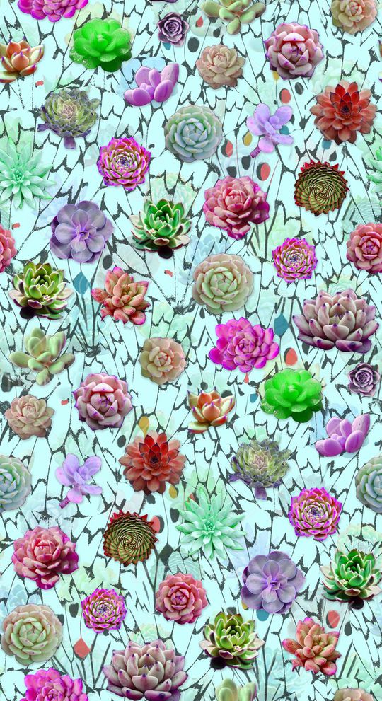 热带植物印花华亿平台图片