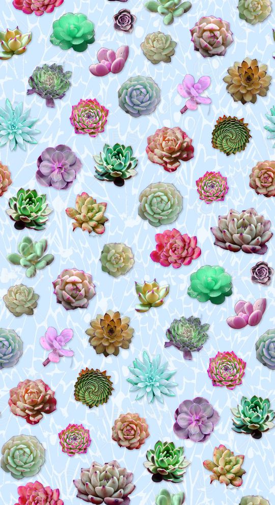 热带植物印花华亿平台图片