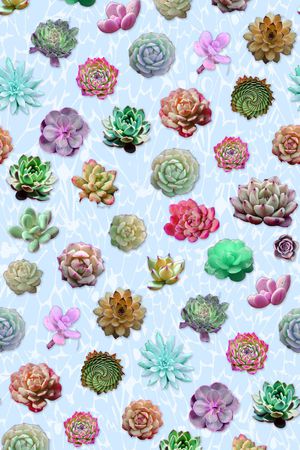 热带植物印花华亿平台图片