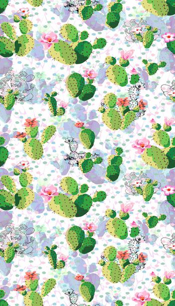 629205-仙人掌 沙漠植物 多肉植物 波点几