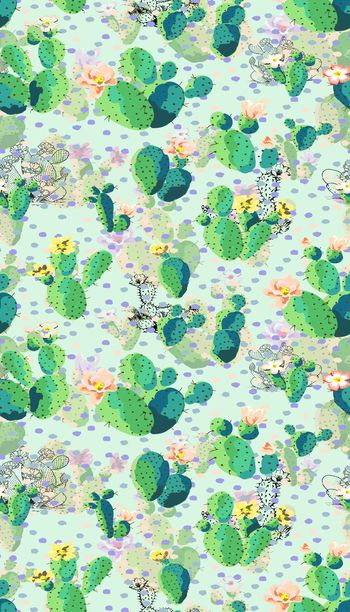 629206-仙人掌 沙漠植物 多肉植物 波点几