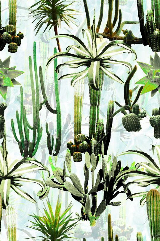 多肉印花华亿平台图片