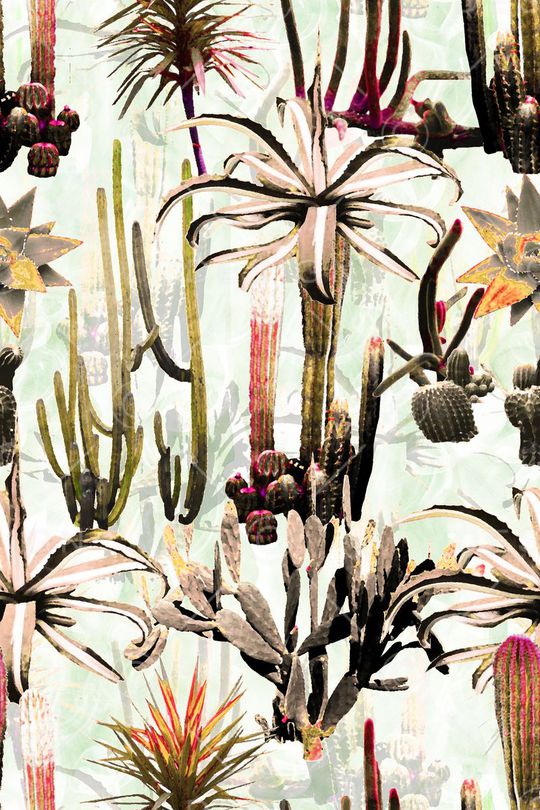 多肉印花华亿平台图片