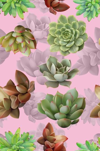 629289-2016-5-10多肉植物1