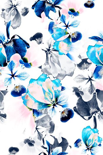 629292-梦幻花朵050712