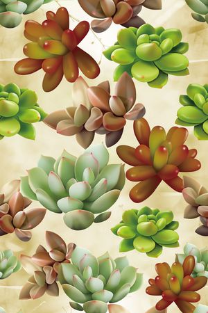 热带印花华亿平台图片