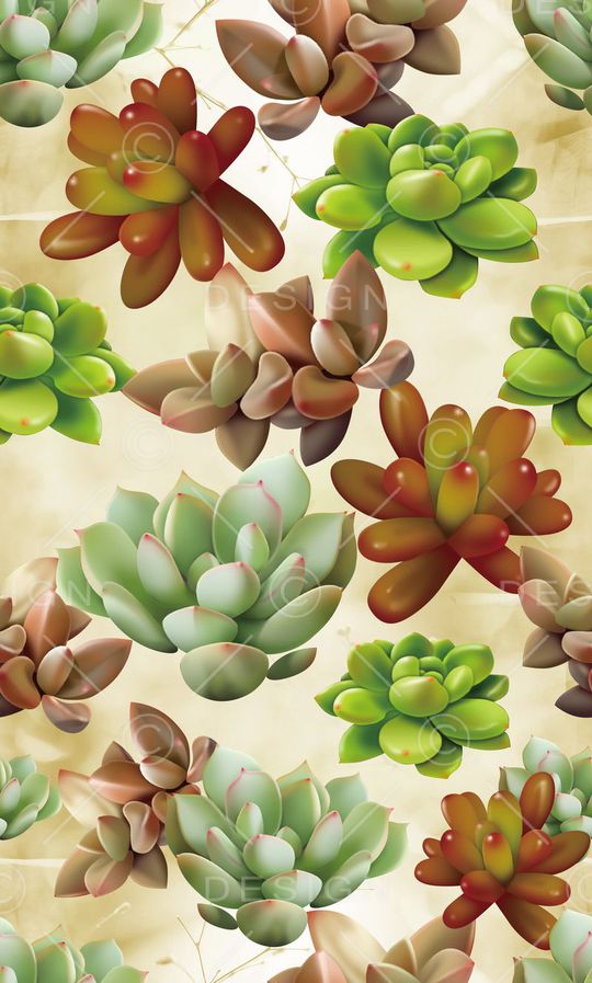 热带印花华亿平台图片