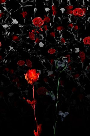 定位印花华亿平台图片