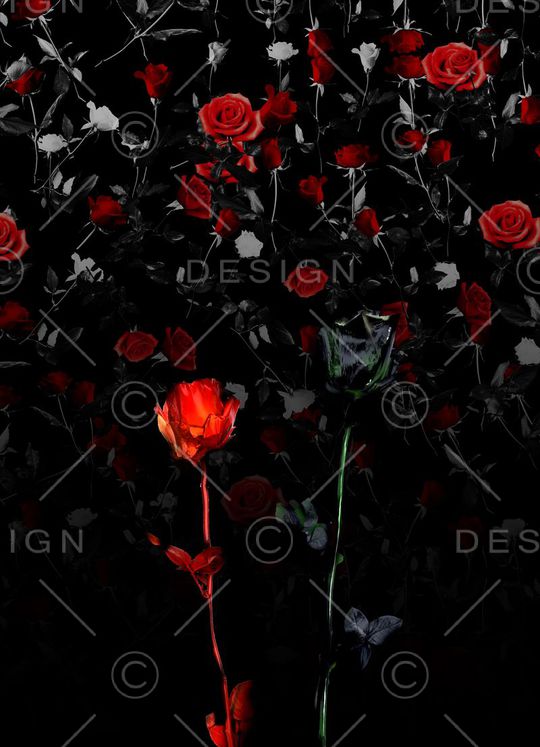 定位印花华亿平台图片