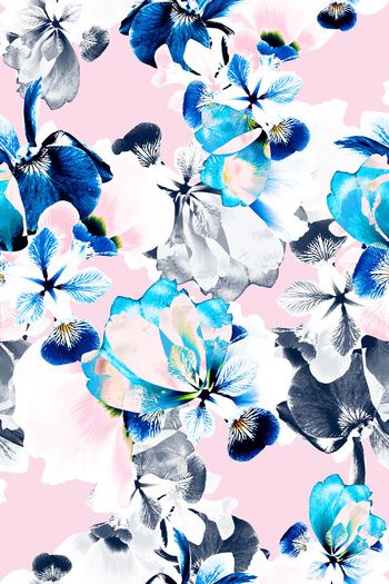 629468-梦幻花朵050712c