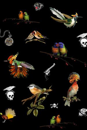 动物印花华亿平台图片