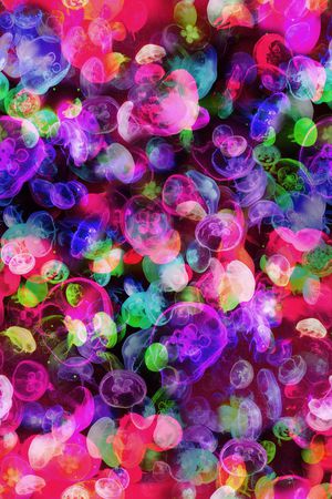 清新印花华亿平台图片