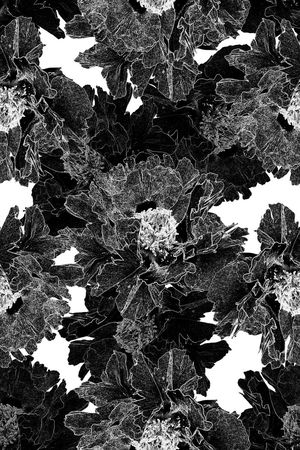 时尚印花华亿平台图片