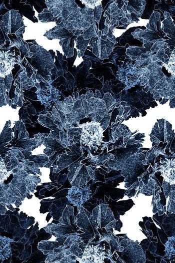 629575-未标题-19aa