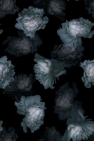 时尚潮流黑白玫瑰花数码印花印花华亿平台图片