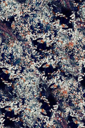 时尚潮流男装外套夹克棉服卫衣数码印花印花华亿平台图片