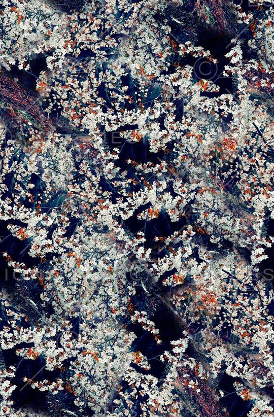 时尚潮流男装外套夹克棉服卫衣数码印花印花华亿平台图片