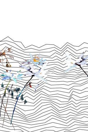 原创抽象几何线条水粉花印花华亿平台图片