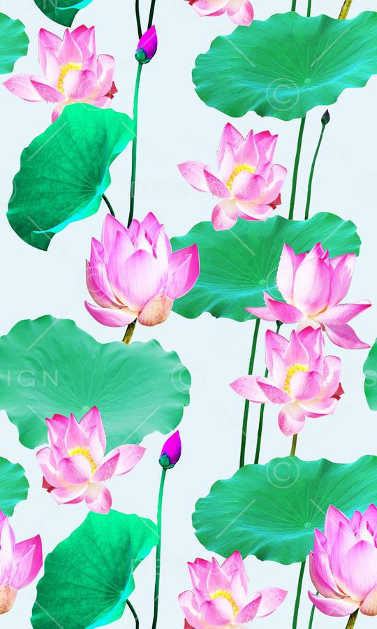 荷花印花华亿平台图片