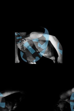 高端抽象男装花印花华亿平台图片