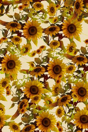 满版印花华亿平台图片