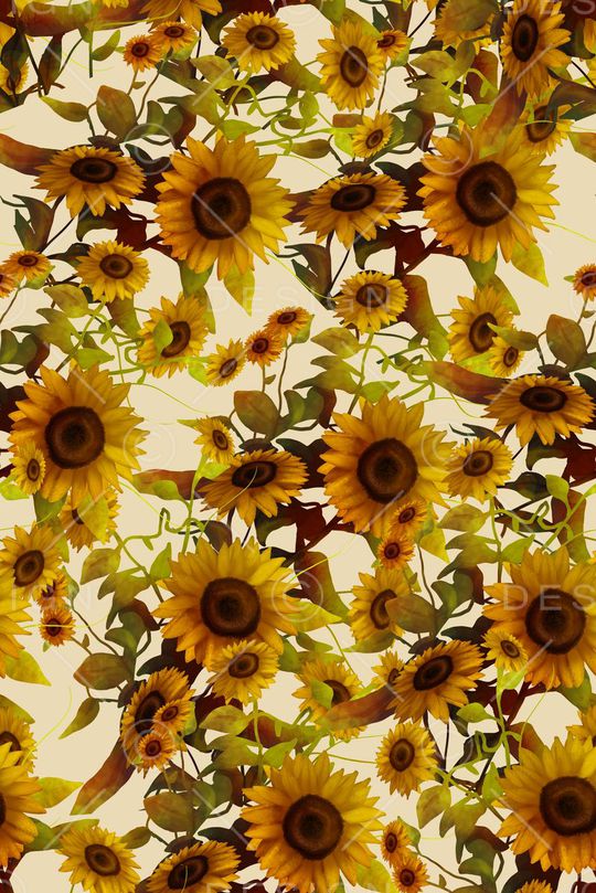 满版印花华亿平台图片