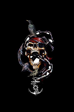 海盗骷髅印花华亿平台图片