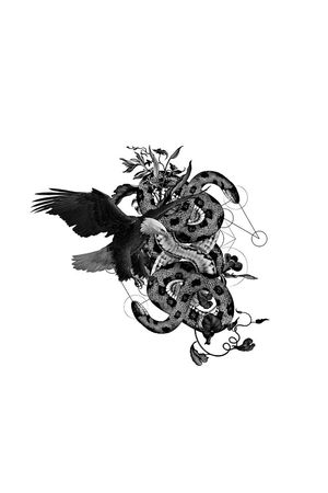 老鹰印花华亿平台图片