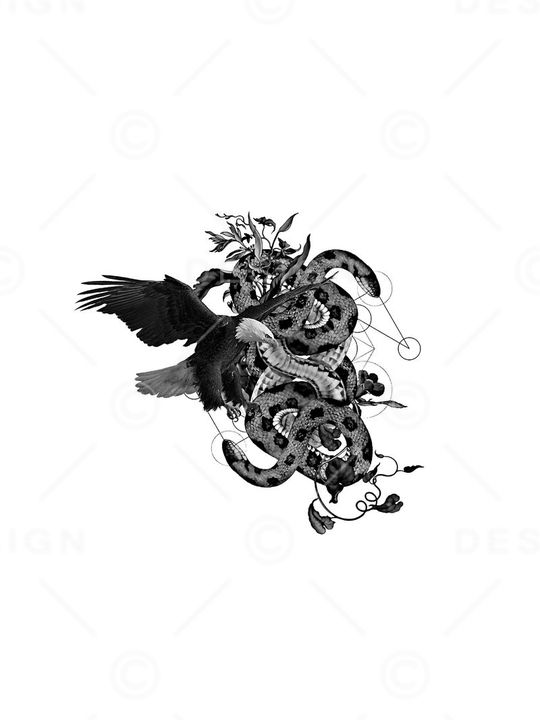 老鹰印花华亿平台图片