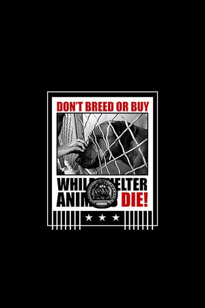 海报印花华亿平台图片