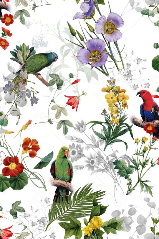 热带花卉印花华亿平台图片