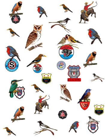 629872-838816051101a