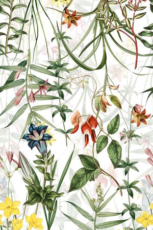 植物印花华亿平台图片