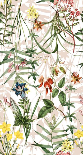 629911-yjn-605-5-10-01b