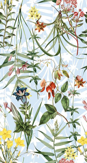 629912-yjn-605-5-10-01c