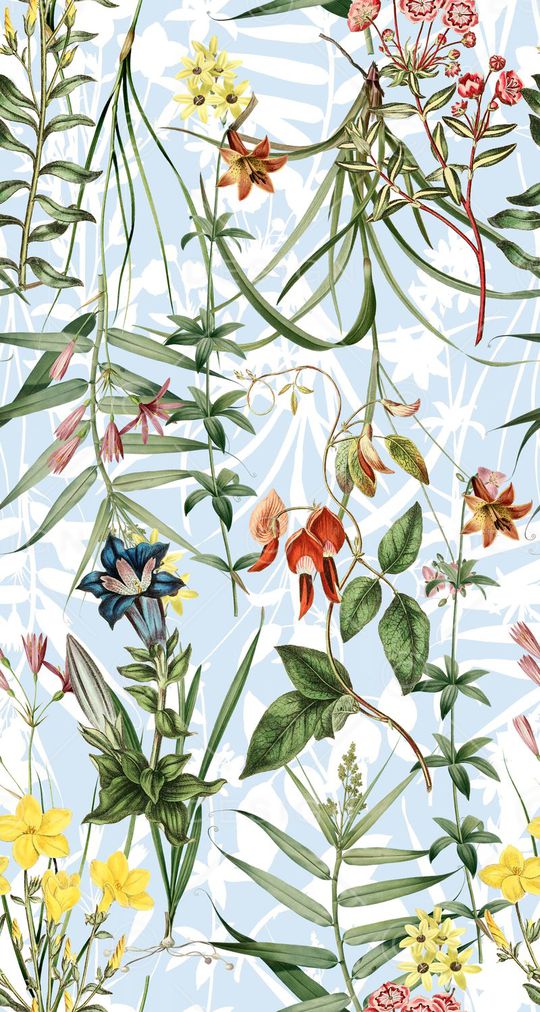 植物印花华亿平台图片