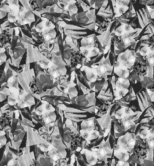 黑白印花华亿平台图片