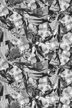 黑白印花华亿平台图片