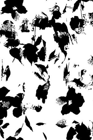 黑白印花华亿平台图片