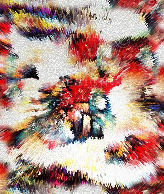 数码花印花华亿平台图片