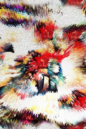 数码花印花华亿平台图片