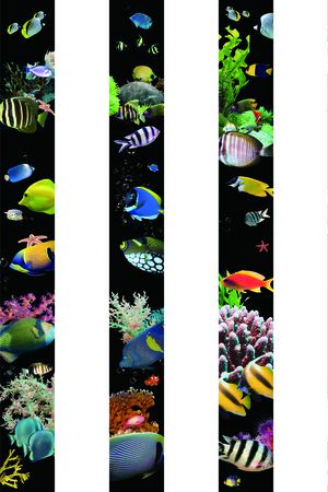 热带风情印花华亿平台图片