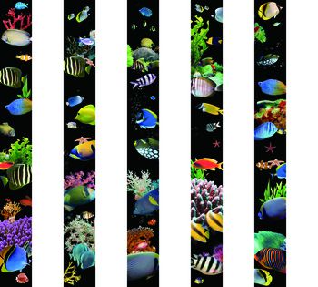 630107-竖条海底鱼--h