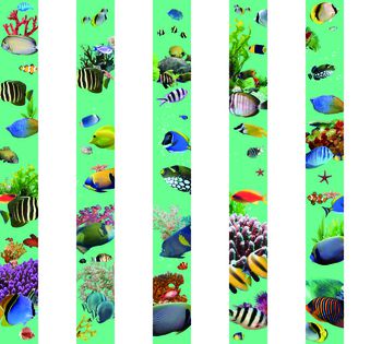 630108-竖条海底鱼--l