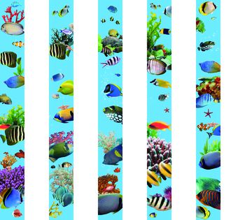 630109-竖条海底鱼--蓝