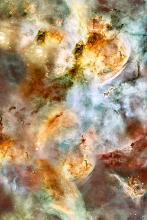 星空印花华亿平台图片